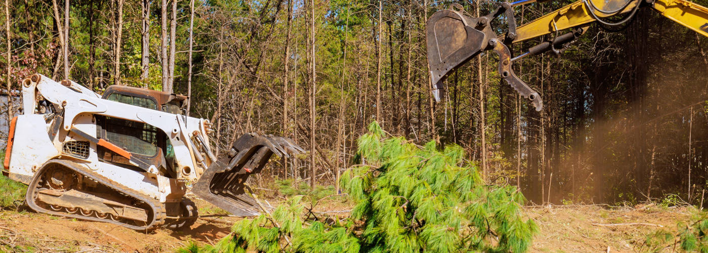 Featured Image for Southern Belle Builders LLC